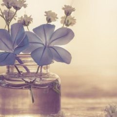 Poesía para vivir