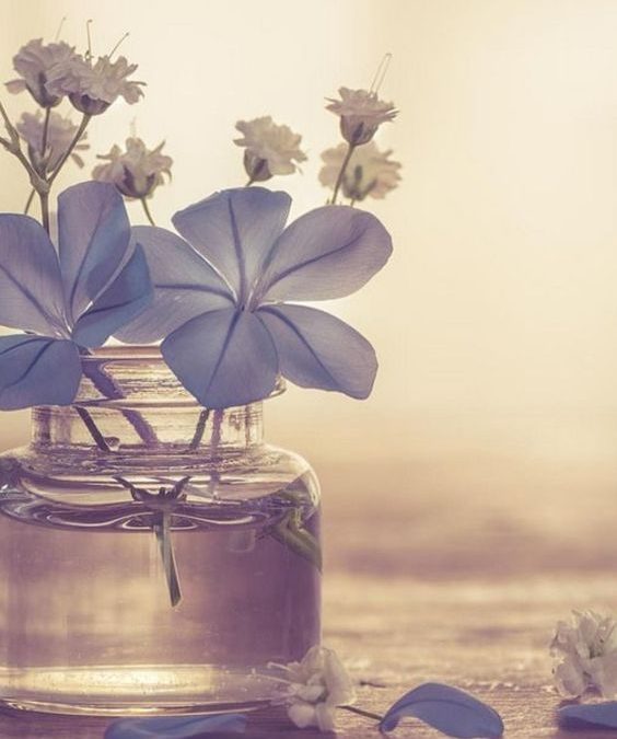 Poesía para vivir Poesía para vivir