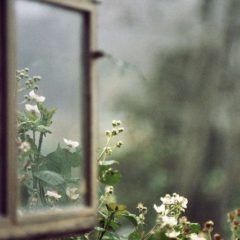 Dentro de las manos de una ninfa