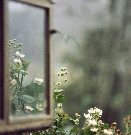 Dentro de las manos de una ninfa