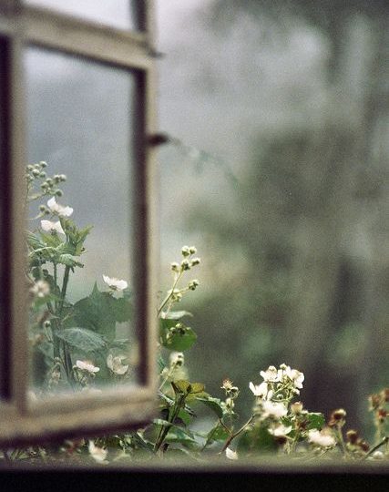 Dentro de las manos de una ninfa Dentro de las manos de una ninfa