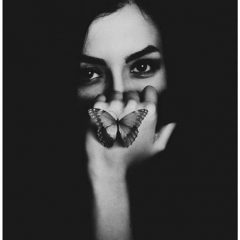 mariposas