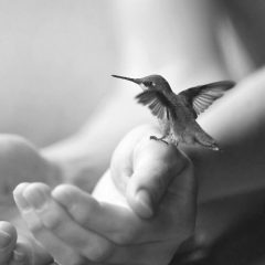 felices
