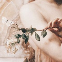 mariposa