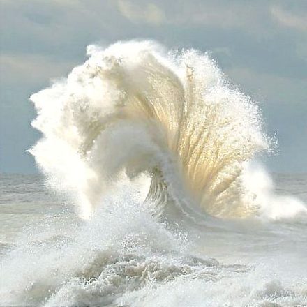 las alas del mar