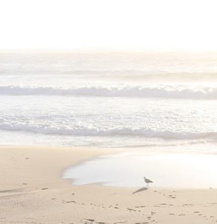 cuando lo infinito sueña a ser mar