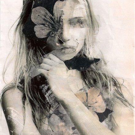 la profecía de la mariposa