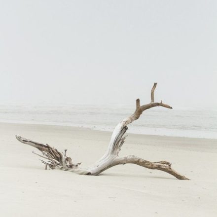 mensajes del mar