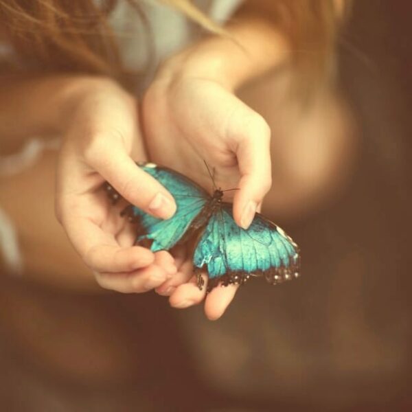 aletear